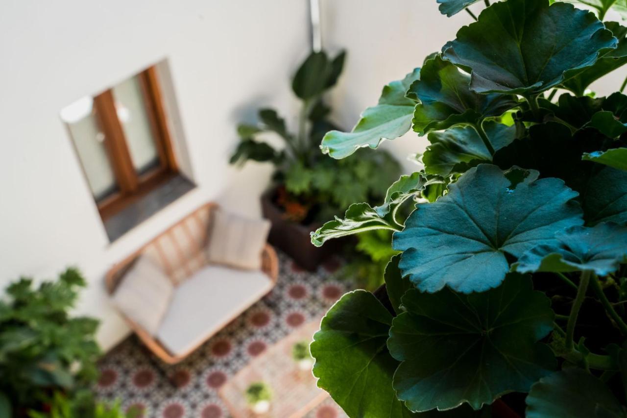Ibericabeds Albaicin Apartment Granada Exterior photo